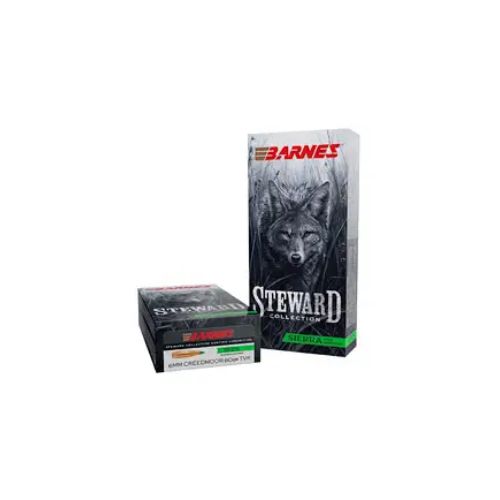 BARNES STEWARD 6MM CM 80GR