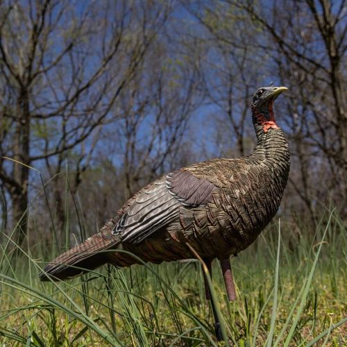 AVIAN X LCD LOOKOUT HEN DECOY