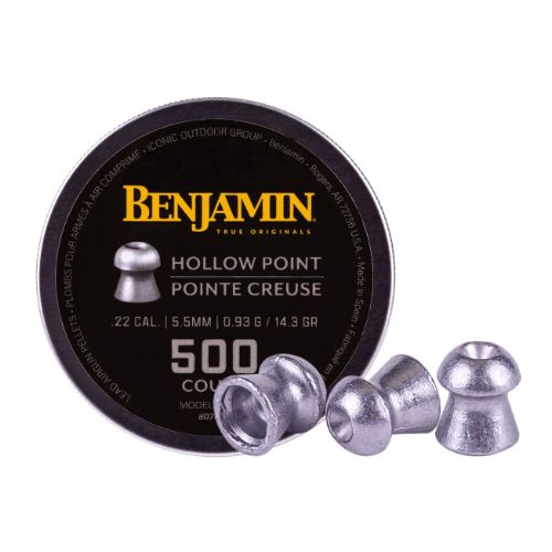 BENJAMIN DISCOVERY 22 PELLETS