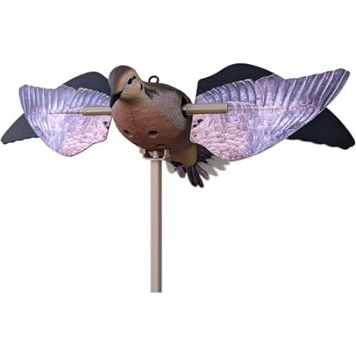 AVIAN X SPINNING WING DOVE