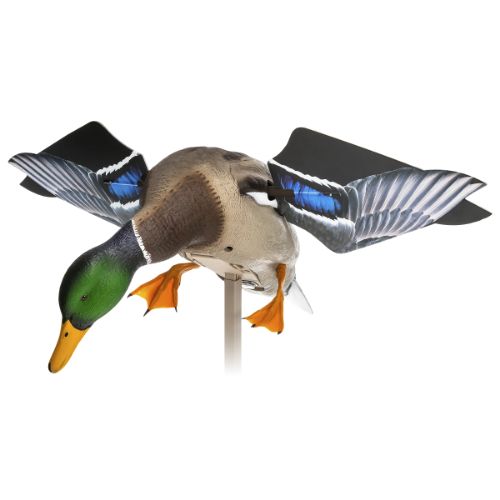 AVIAN X POWERFLIGHT SPINNING