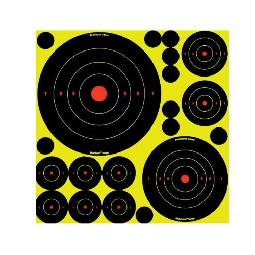 B/C TARGET SHOOT-N-C ASSORTED