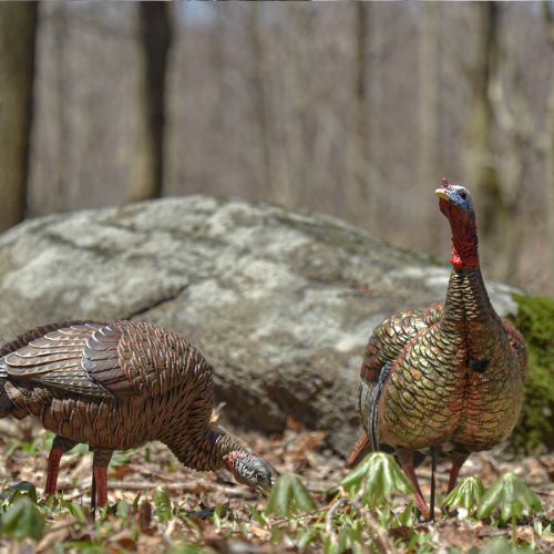 AVIAN X HDR FEEDING HEN DECOY