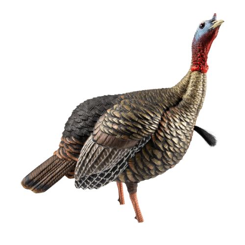 AVIAN X HDR JAKE DECOY
