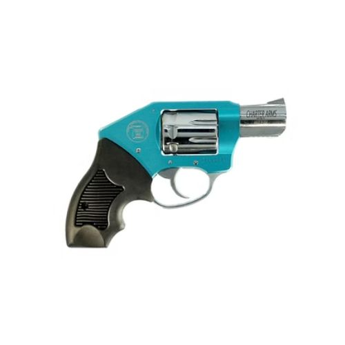 CHARTER ARMS THE WALKER 22 MAG