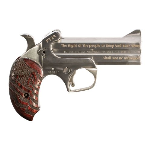 BOND ARMS PROTECT 2ND AMMEND