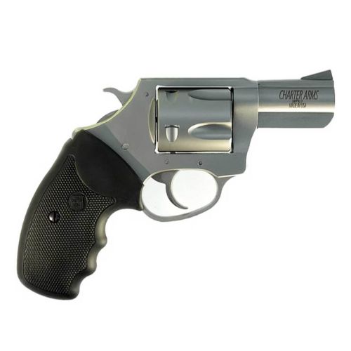 CHARTER ARMS PIT BULL 40 S&W