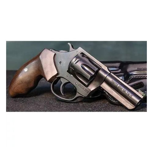 CHARTER ARMS THE PROFESSIONAL