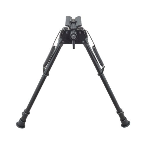 CHAMPION ROCK MOUNTAIN BI-POD