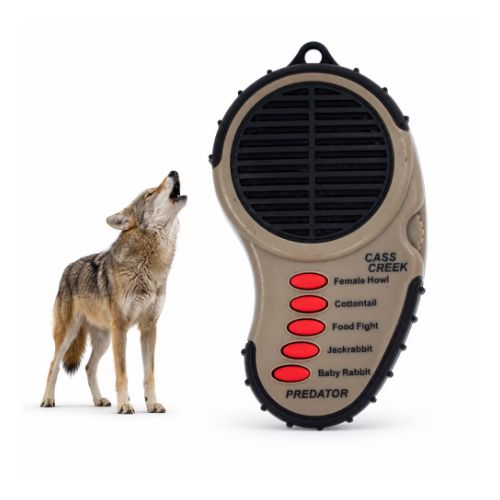 CASS CREEK ERGO GAME CALL