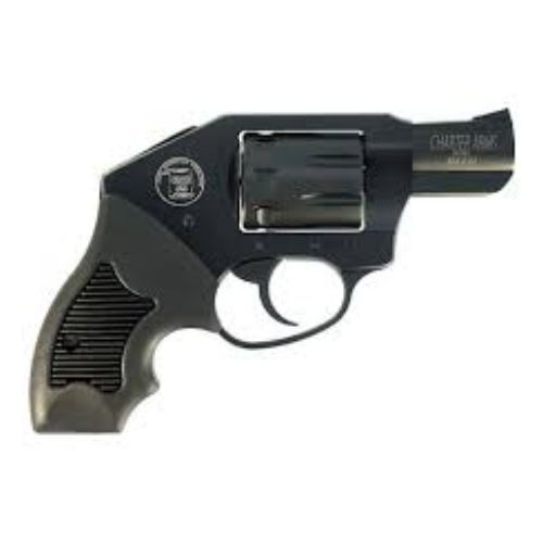 CHARTER ARMS THE WALKER 22 LR