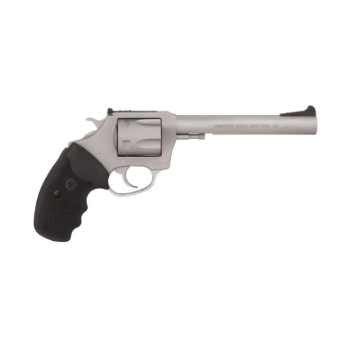 CHARTER ARMS TARGET MAGNUM