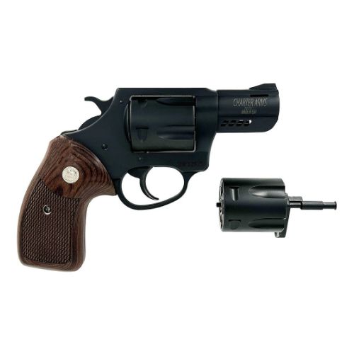 CHARTER ARMS DOUBLE DOG 2.2"
