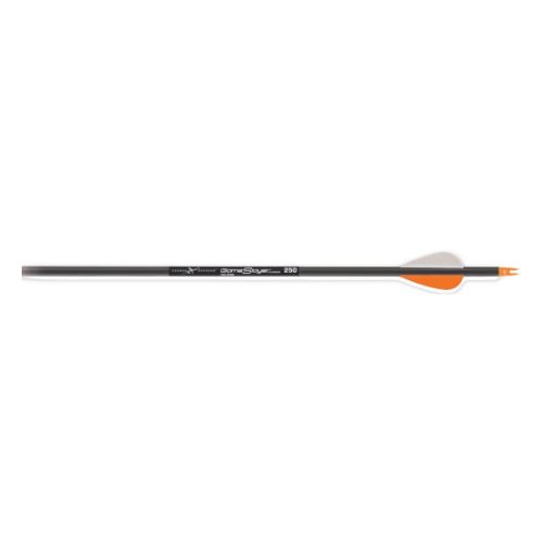 CARBON EXPRESS ARROW GAME