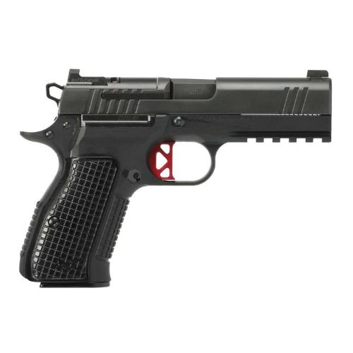 DAN WESSON DWX OR COMPACT