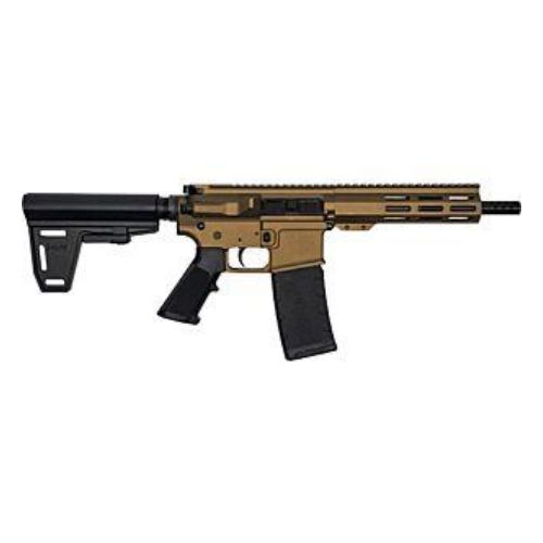 GLFA AR15 PISTOL W/BRACE 223