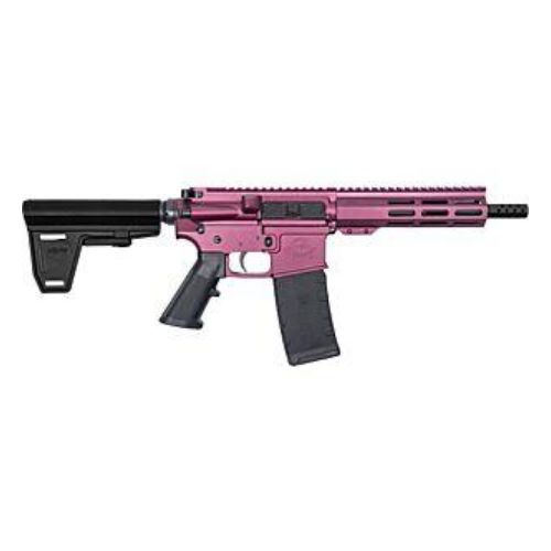 GLFA AR15 PISTOL W/BRACE 223