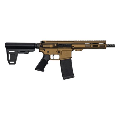 GLFA AR15 PISTOL W/BRACE 223