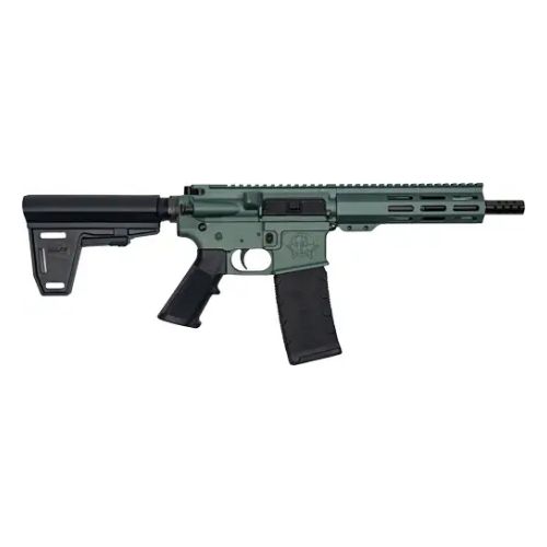 GLFA AR15 PISTOL W/BRACE 223