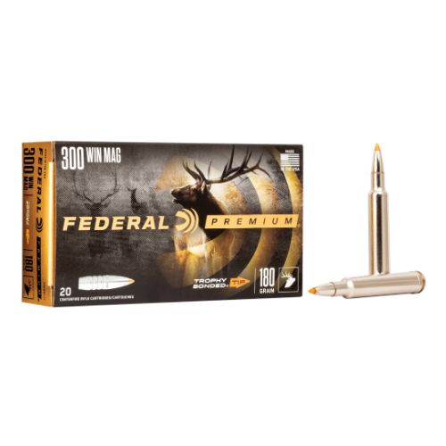 FEDERAL 300 WIN MAG 180GR