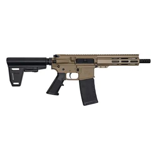 GLFA AR15 PISTOL W/BRACE 223