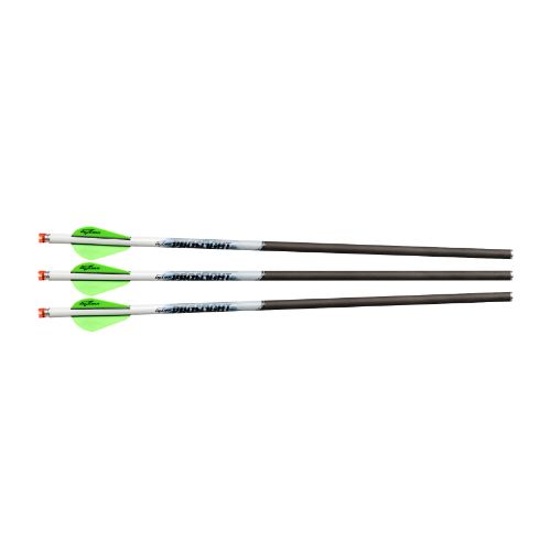 EXCALIBUR ARROW PROFLIGHT