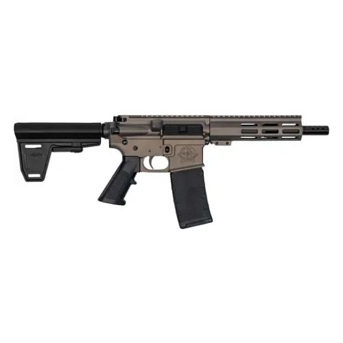 GLFA AR15 PISTOL W/BRACE 223