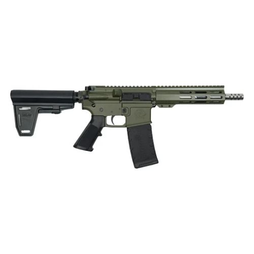GLFA AR15 PISTOL W/BRACE 223