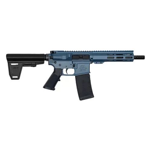 GLFA AR15 PISTOL W/BRACE 223