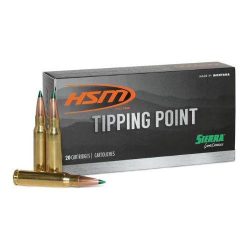 HSM 6MM ARC 95GR SST 20RD