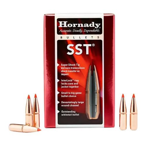 HORNADY BULLETS 7.62MM .310