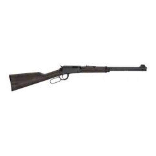 HENRY H1 GARDEN GUN 22WMR