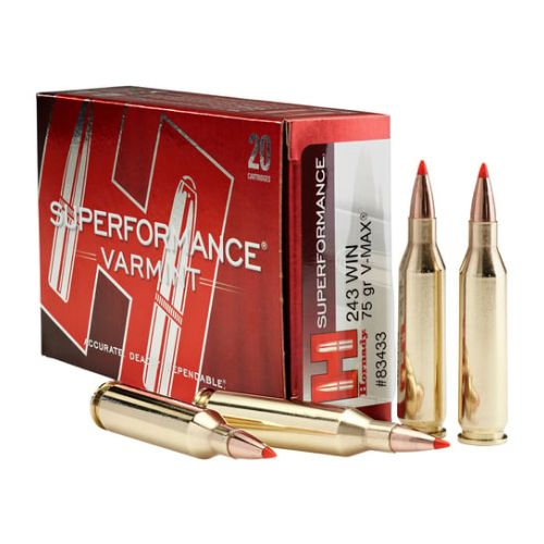 HORNADY SPF VARMINT 243 WSSM