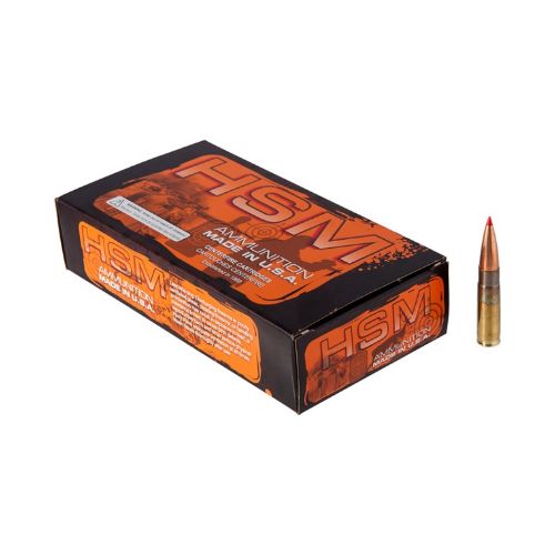 HSM 300 AAC 180GR BTHP
