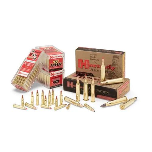 HORNADY SPF VARMINT 204 RUGER