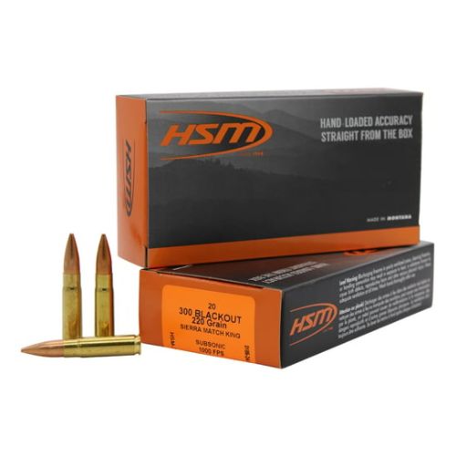 HSM 300 AAC 220GR SUBSONIC