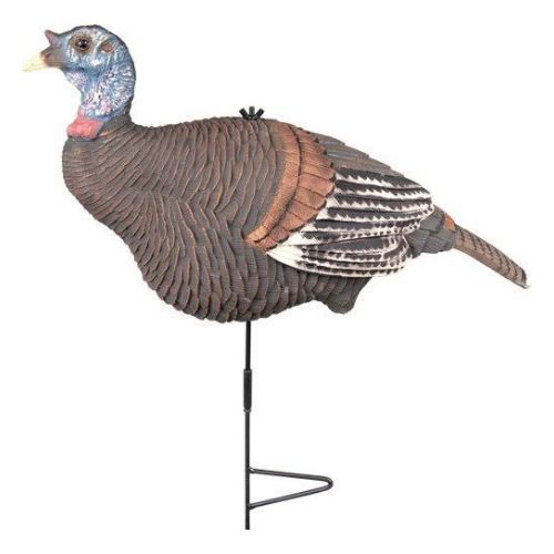 KNIGHT AND HALE LOOKOUT HEN