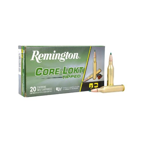 REMINGTON 243 WIN 95GR TIPPED
