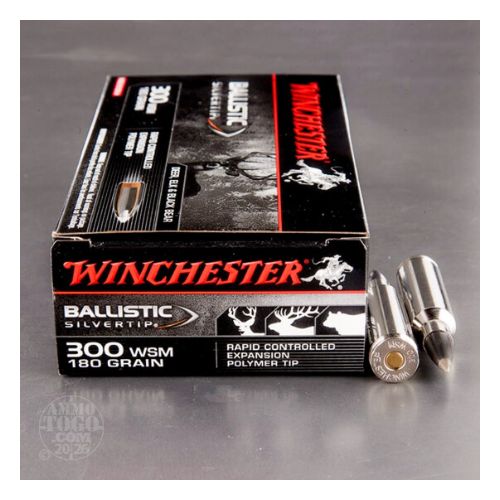 WINCHESTER SUPREME 300 WSM