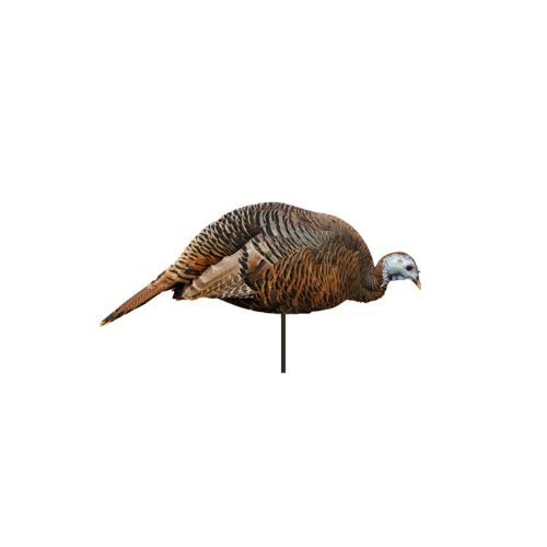 MONTANA DECOY TURKEY HEN