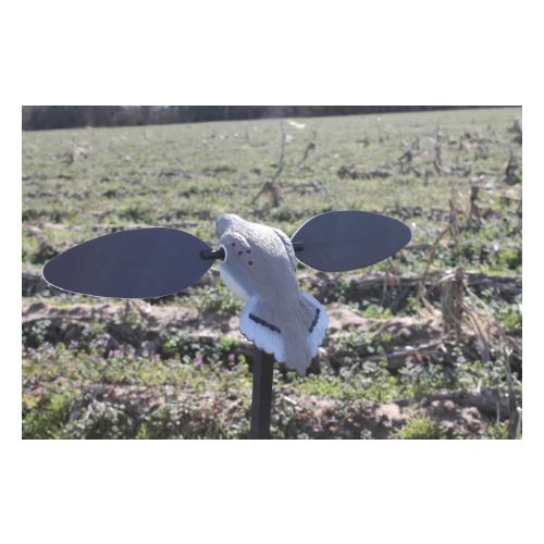 MOJO ELITE SERIES DOVE DECOY