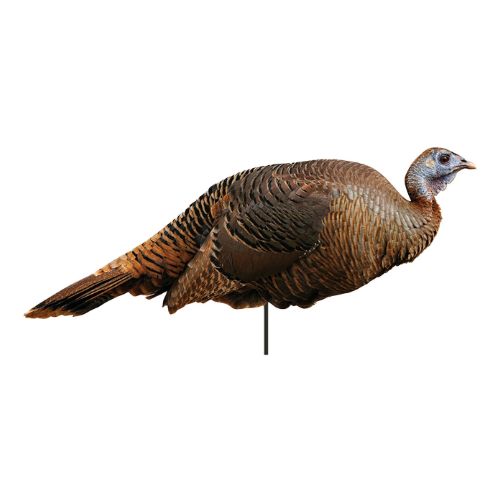 MONTANA DECOY TURKEY SPRING