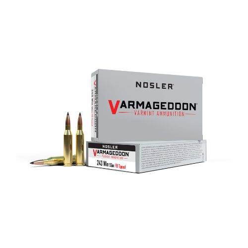NOSLER VARMAGEDDON 243 WIN