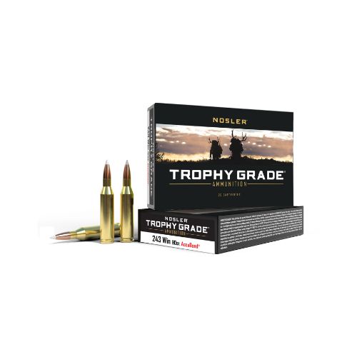 NOSLER TROPHY GRADE 243 WIN