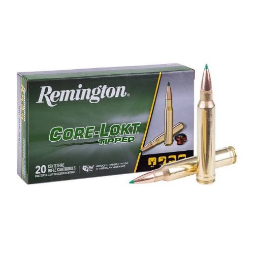 REMINGTON 300 WIN MAG 180GR