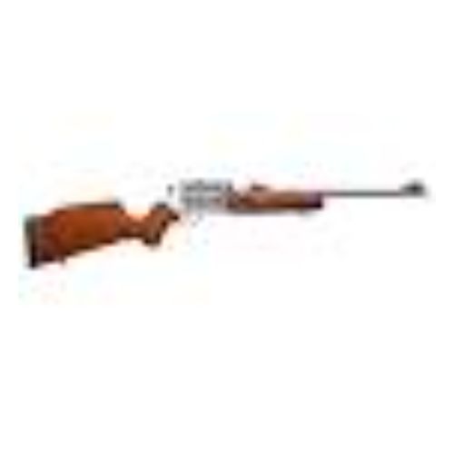 ROSSI CIRCUIT JUDGE 45LC/410