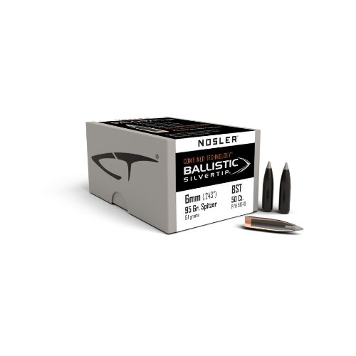 NOSLER BULLETS 6MM .243