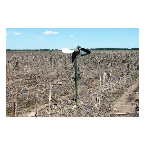 MOJO WIND DOVE DECOY