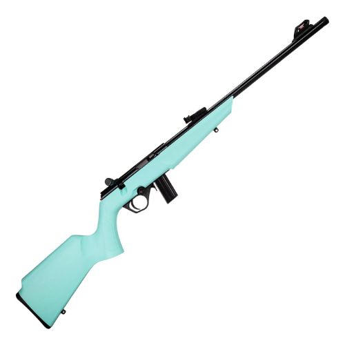 ROSSI RB22 COMPACT 22LR BOLT