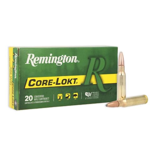 REMINGTON 308 WIN 180GR